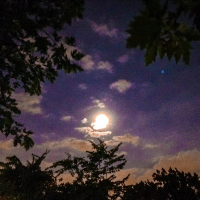 A bright moon in a purple-blue sky, framed by dark trees